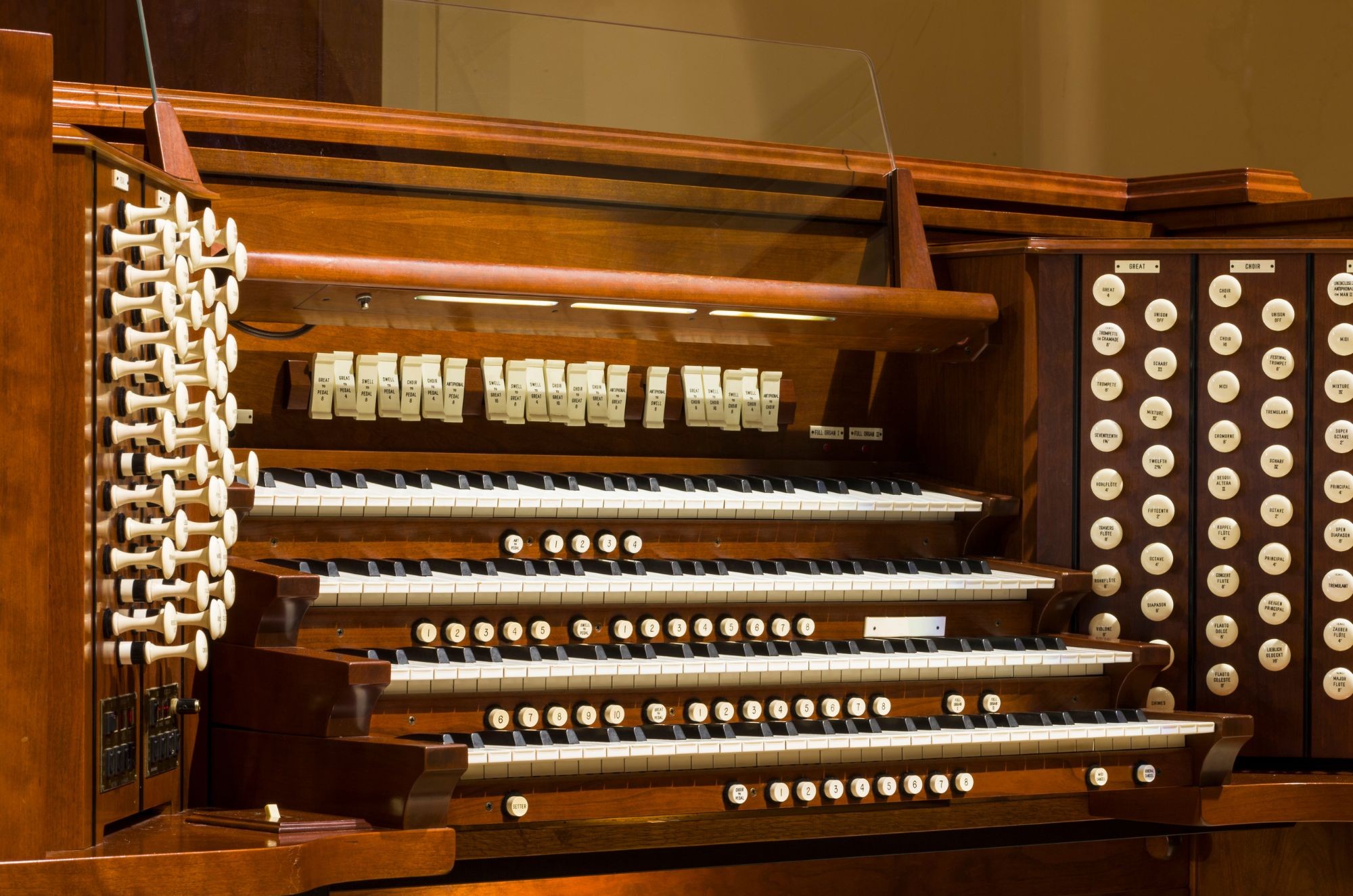 Organ